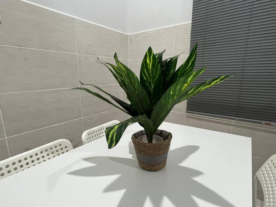 D'Sara Homestay Fully Furnished 3 Bedrooms All Aircond 2 Miles Centre Chukai Zewnętrze zdjęcie